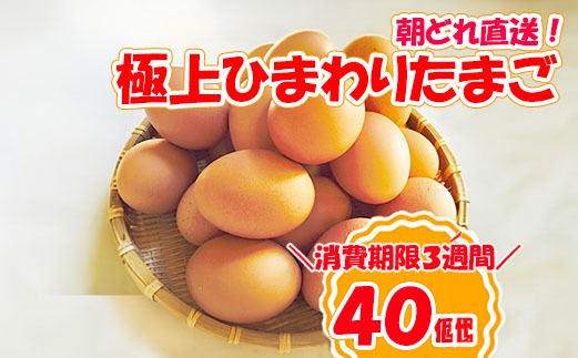 ◆たまご B1807極上ひまわりたまご（40個程度）※破卵補償10個含 卵 鶏卵