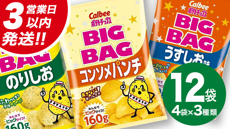 最短3営業日！スピード発送】 カルビー ポテトチップス BIGBAG 160g 3