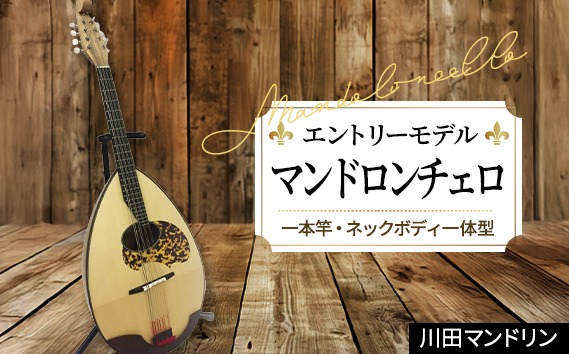 エントリーモデル】マンドロンチェロ [No.292]（岐阜県山県市
