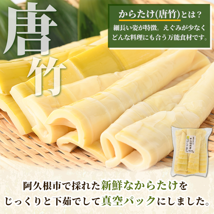 真空パックたけのこ(約1.5kg・500g×3P) 国産 野菜 たけのこ タケノコ