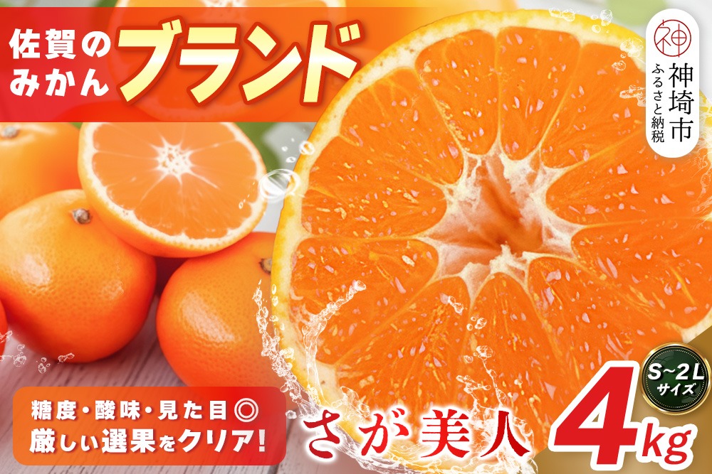 2026年10月上旬より発送開始】佐賀美人(みかん) 4kg S～2Lサイズ