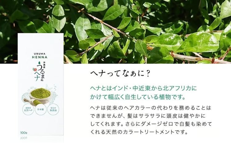 沖縄産ヘナ「うるまヘナ」1袋（100g）（沖縄県うるま市） | ふるさと