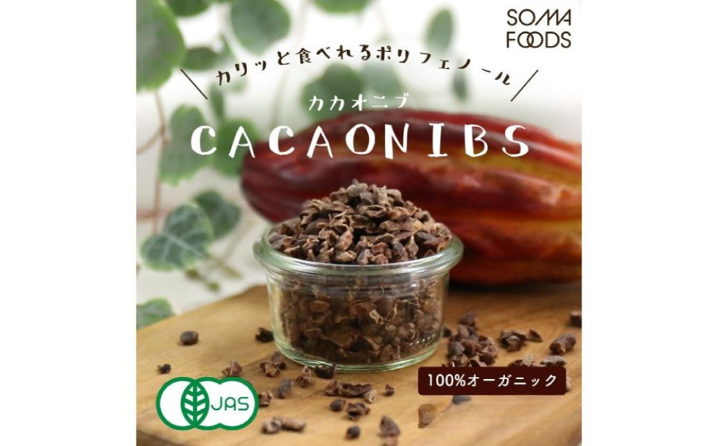 カカオニブ500g×2袋セット 【kw0090-0017】（神奈川県川崎市