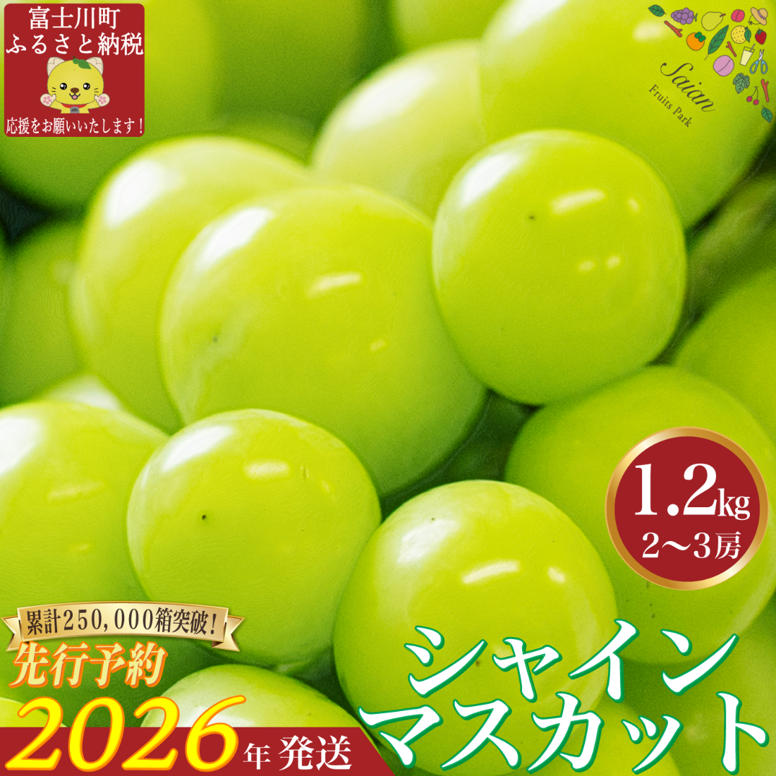 2026年発送分 先行予約】 シャインマスカット1.2kg（2～3房） 8