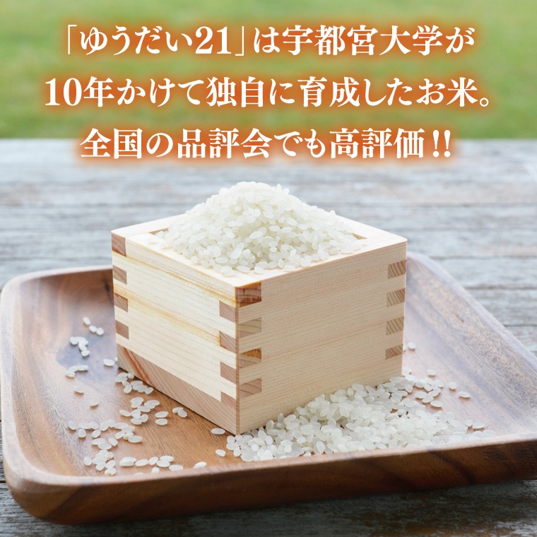 ☆ 令和8年☆ 米 5kg 白米 「ゆうだい21」 ＼山﨑観光農園 ／ 栃木県