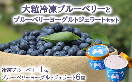 大粒冷凍ブルーベリー1kgと手作りブルーベリーヨーグルトジェラート6個