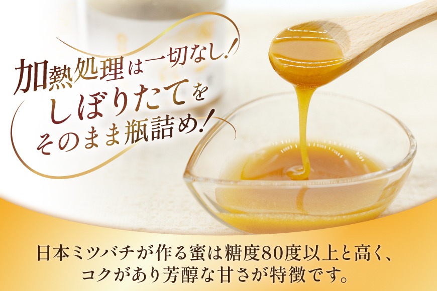 BJ446 はちみつ 国産 百花蜜 500g 2個 日本ミツバチ 純粋 100% [ 安中