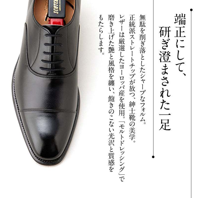 極美品✨【スコッチグレイン】ビジネスシューズ/916/オデッサ/ストレートチップ スコッチグレイン ビジネスシューズ メンズ オデッサ 916 ストレート