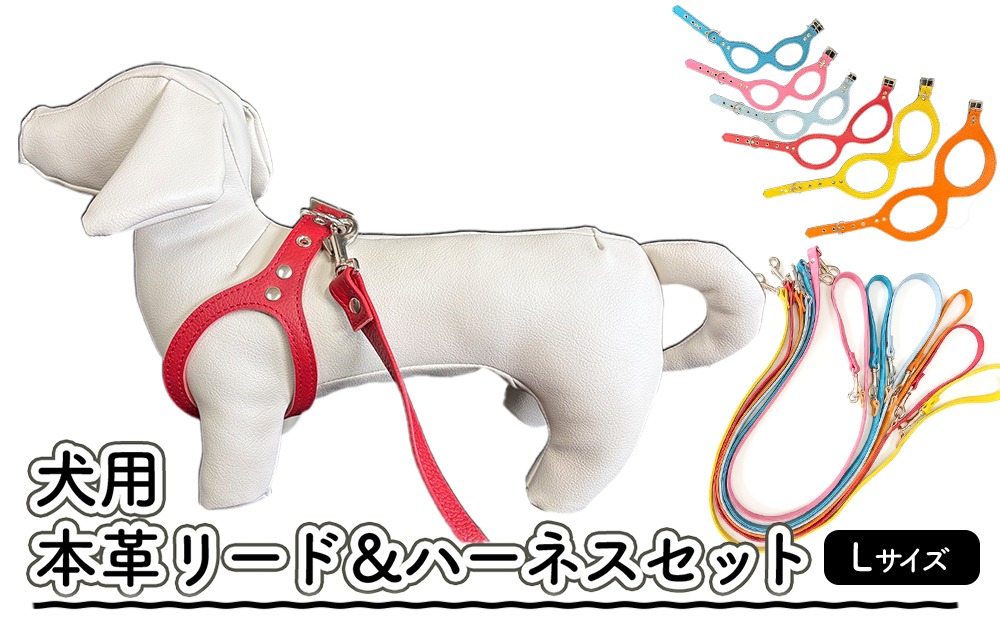 本革　ハーネス　リードのセット 犬用・本革リード、ハーネスセット Lサイズ | リード ハーネス セット