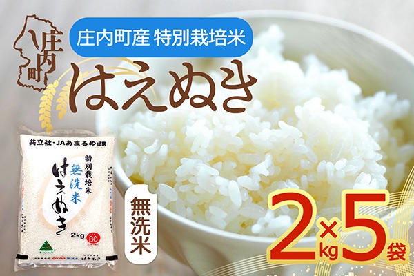 令和8年産】特別栽培米 はえぬき 無洗米 10kg 2kg×5袋 庄内町産 余目産