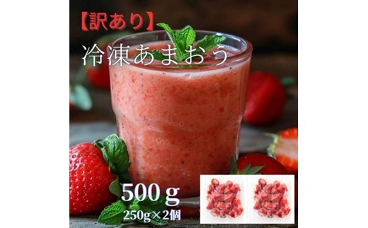 福岡県産 冷凍あまおう500g(250g×2個)【木村食品】_HA1739（福岡県宗像