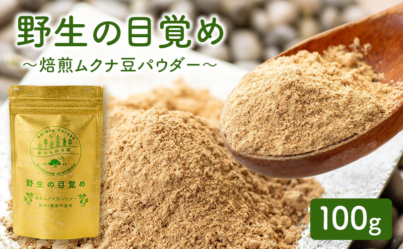 パウダー 健康食品 ムクナ豆 三重県 名張市 第三制作 焙煎 健康