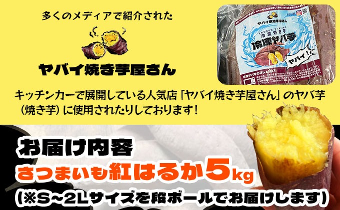 先行予約＞《高糖度》さつまいも 紅はるか 5kg｜産地直送 熟成
