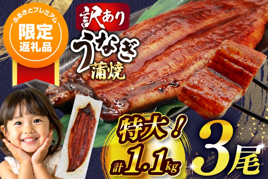 ふるプレ限定品】 うなぎ 訳あり 蒲焼 特大 肉厚 3尾 約 1.1kg 小分け