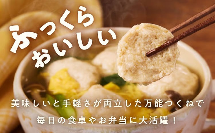 G4556 【定期便】国産鶏使用 つくね 1kg（500g×2P）全6回【調理済み
