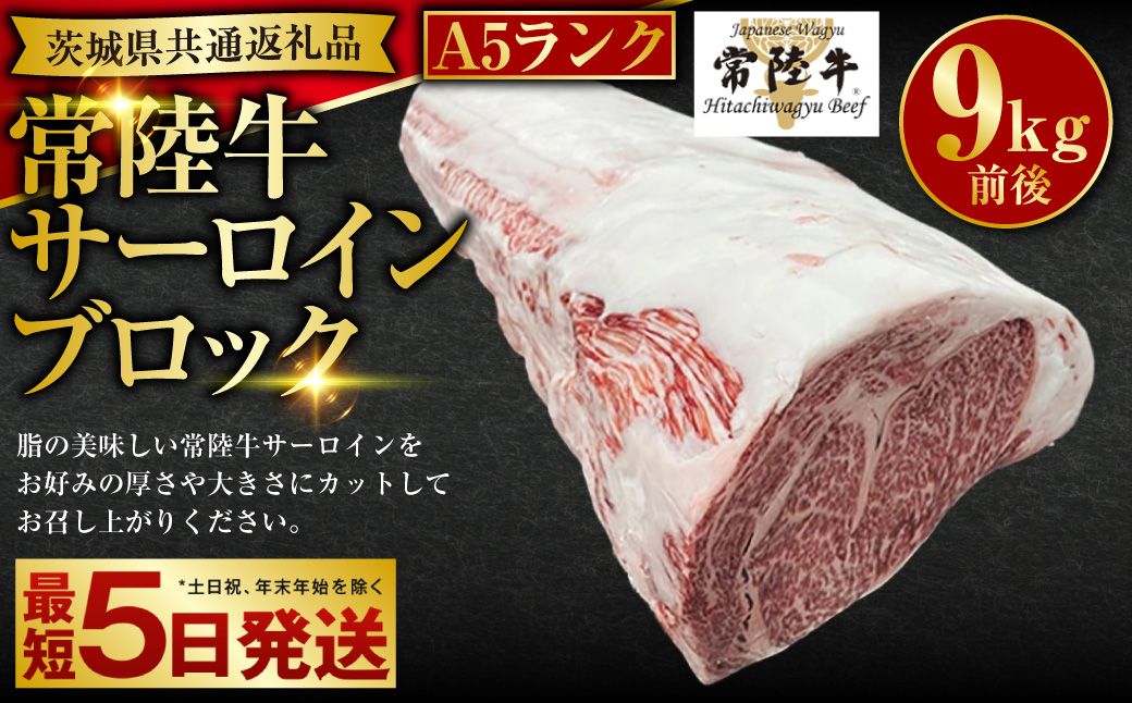 常陸牛】A5サーロインブロック 9kg前後（茨城県共通返礼品）（茨城県