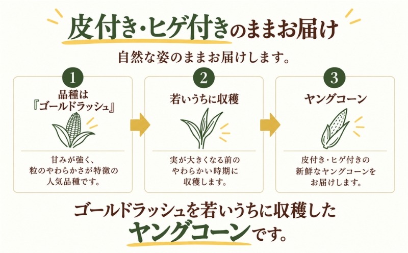 2027年 先行予約】 もぎたて発送！山梨県産 ヤングコーン 選べる 30本