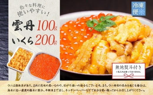 3595. 無地熨斗 うに 100g いくら醤油漬け 200g ウニ チリ産 冷凍