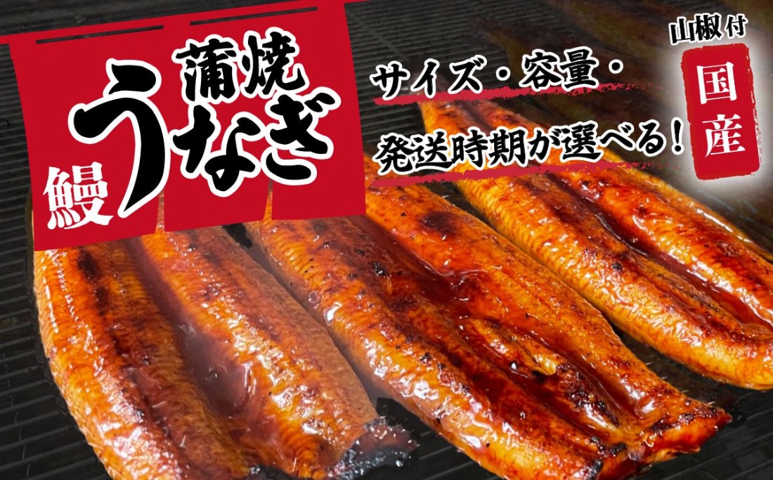 うなぎ 国産 蒲焼 山椒付き 特上2尾 570g以上 / 3尾 420g以上 / 5尾