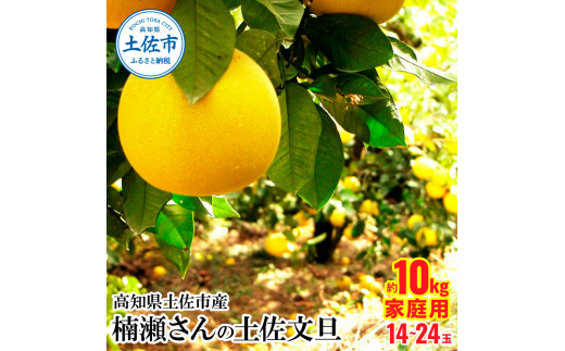 先行予約】楠瀬さんの土佐文旦 家庭用 約10kg サイズ混合 L～4L〈2027