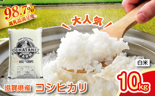 新米】令和8年産 近江米 コシヒカリ 白米【10kg（5kg×2袋）】【V012W2