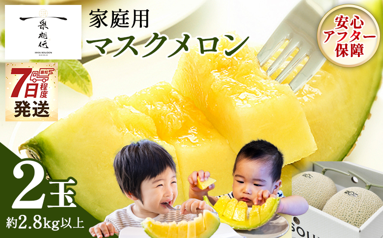 メロン 家庭用 2玉入り 【7日程度で発送】一果相伝マスク 最短配送