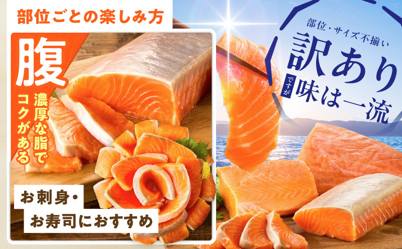 超お買い得！！5.4kgELMOサーモン系2027年12月と2028年1月 tyr0002 【高評価】サーモン 1kg ポーション【訳あり サイズ不揃い