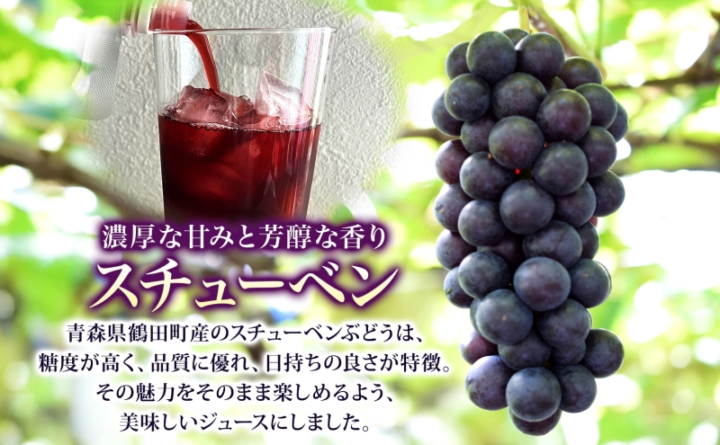 道の駅つるた オリジナル スチューベンジュース パウチパック 180g × 5