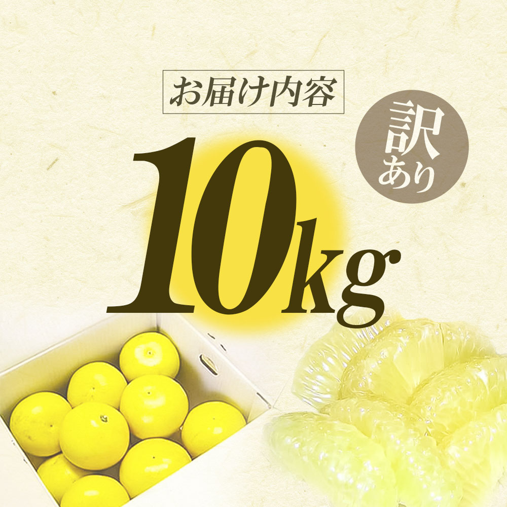 先行予約】ワケあり土佐文旦(※シミ・キズあり) 10kg・ サイズおまかせ