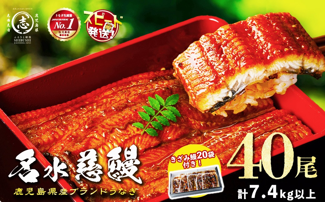 鹿児島県産うなぎ蒲焼 名水慈鰻 40尾(1尾約160g)+きざみ鰻20袋(1袋約