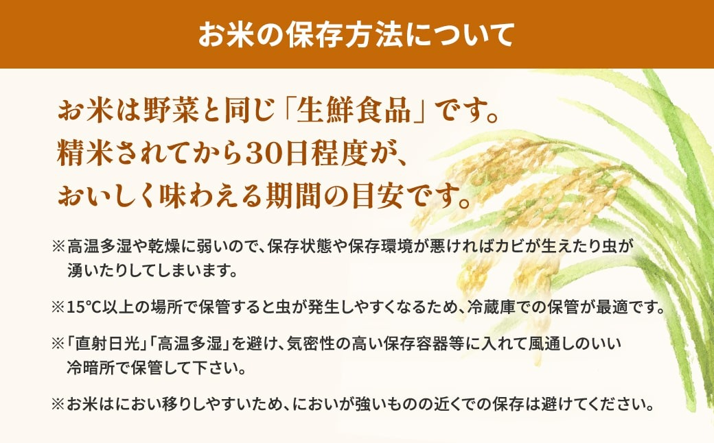 無洗米/令和7年産】〈令和8年5月内発送〉コシヒカリ 10kg (5kg×2袋