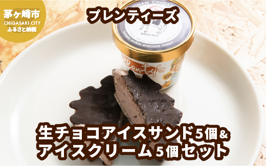 プレンティーズ 生チョコアイスサンド＆アイスクリームセット 各5個 計