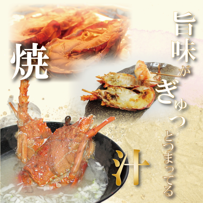 地元産 冷凍伊勢海老カット(サイズ不揃い）約1kg◇｜えび エビ 魚介