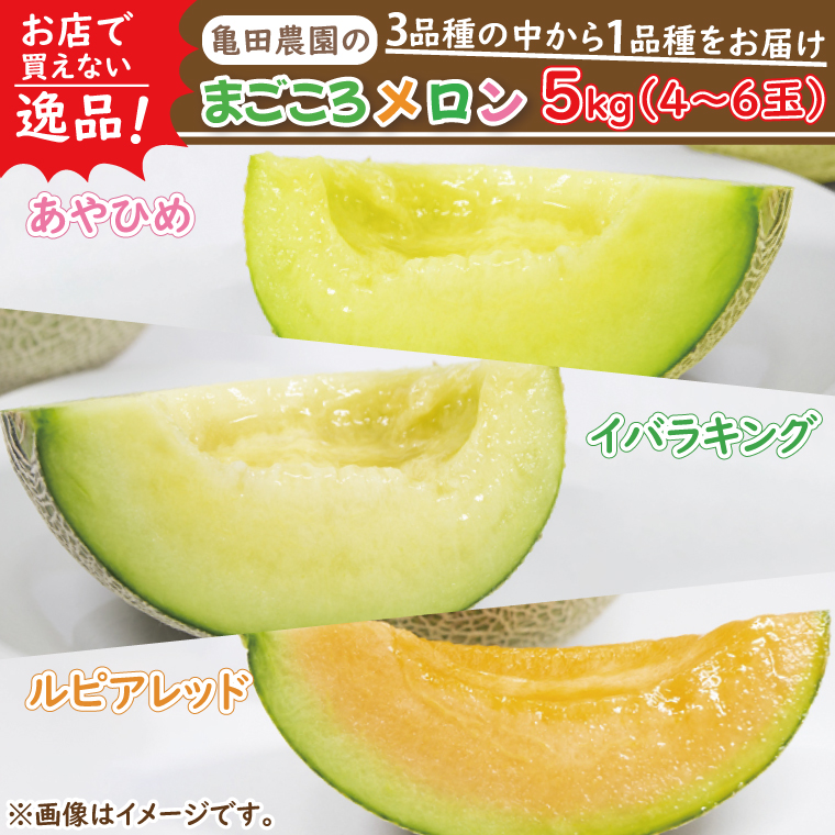 2026年5月中旬より順次発送】☆数量限定☆お店で買えない逸品！亀田