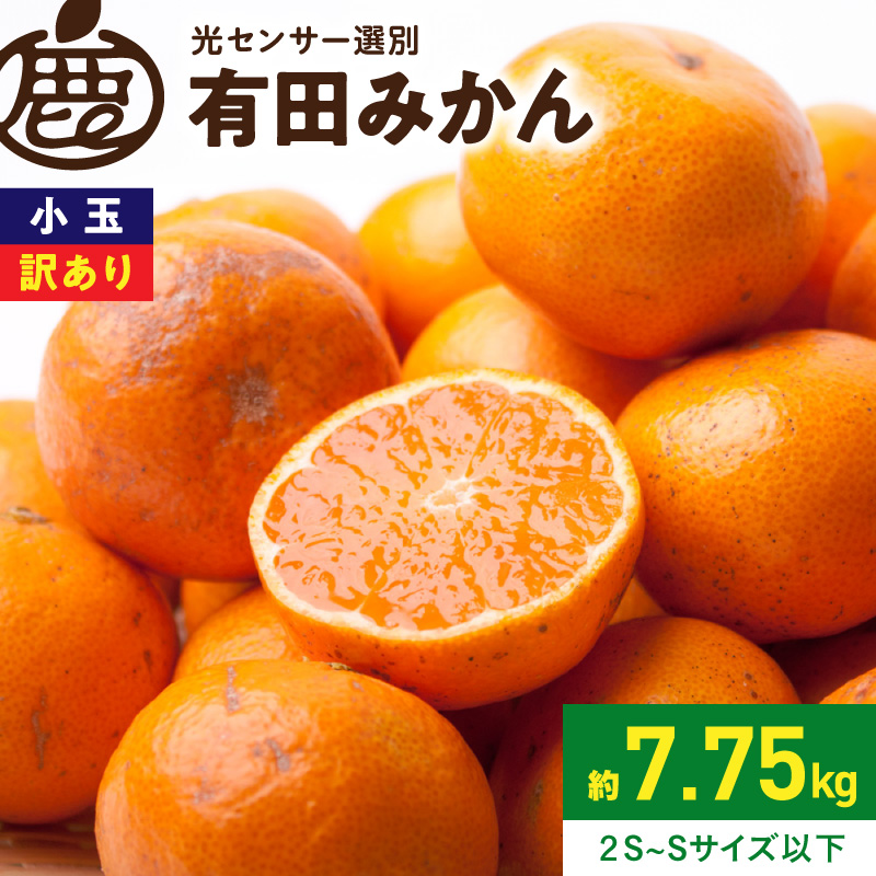 2026年11月上旬～2027年1月上旬頃順次発送》【2026年先行予約】家庭用