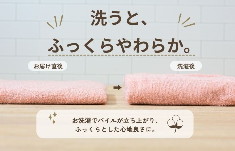 タオルセット ベージュ ピンク 4枚 015B687 デイリーフェイスタオル 10枚セット (ピンクベージュ・サンド
