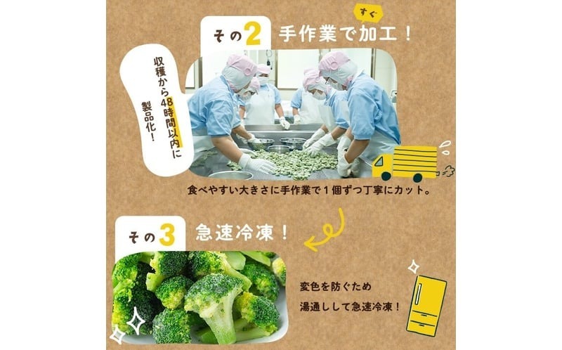 鹿児島県産 冷凍ブロッコリー＜計800g＞(200g×4袋) p8-151（鹿児島県