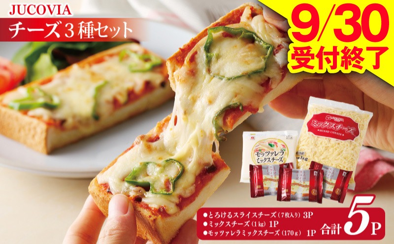 010B1637 【9/30受付終了】人気チーズ 3種セット【ムラカワチーズ 食べ