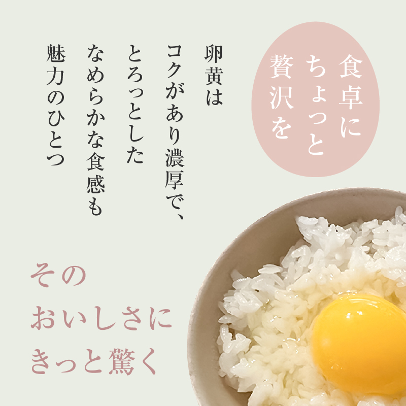 医師監修】野菜を食べて育った平飼いの卵「名古屋コーチン ベジたま