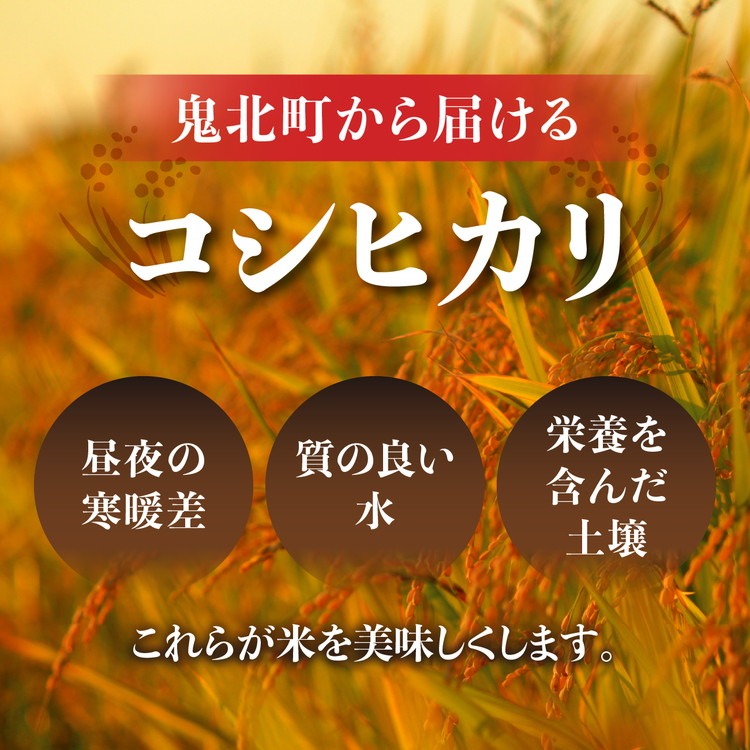 令和8年産新米】愛媛県産 コシヒカリ 5kg ｜ ご飯 白米 お米 5kg 10kg
