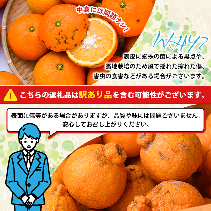 2026年12月発送分！＞旬の柑橘詰合せセット (約10kg) 国産 鹿児島県