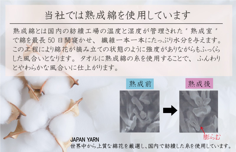 knt0048 泉州タオル「普段使いにぴったりのフェイスタオル」8枚セット