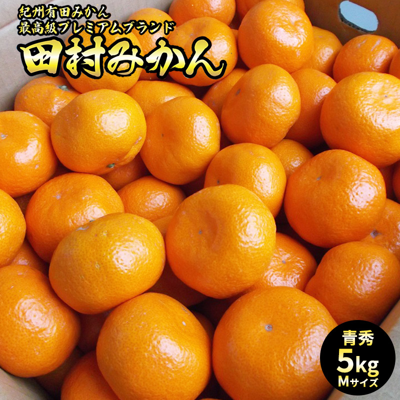 2026年先行予約】「高級 田村みかん」 青秀 約5kg Mサイズ 和歌山県