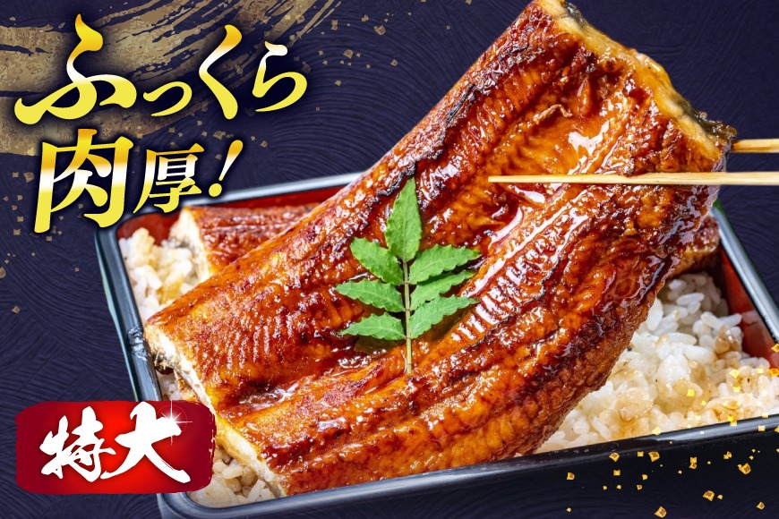 うなぎ 蒲焼 特大サイズ 肉厚 約 1.5kg 4尾 タレ・山椒付 茶葉
