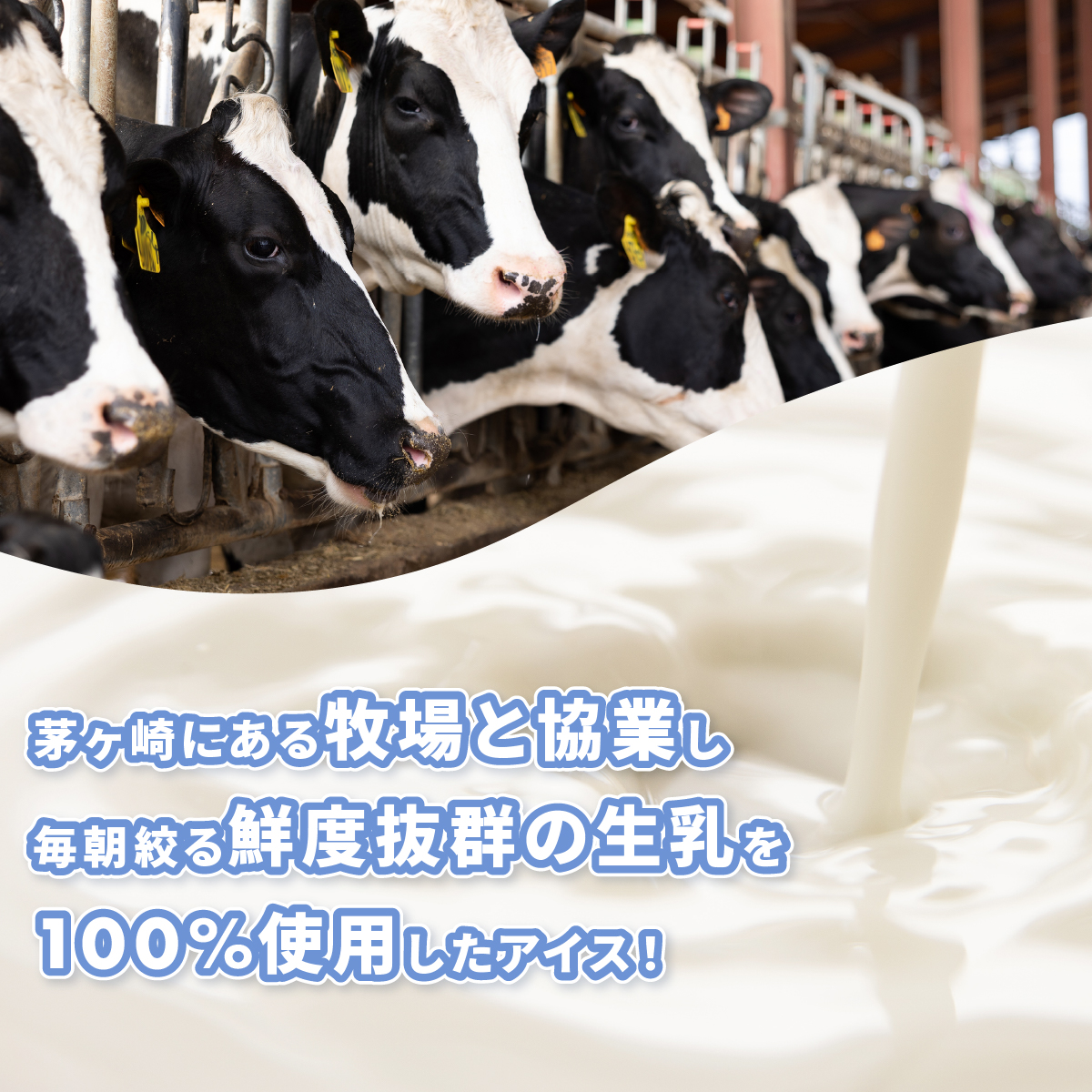 3ヵ月定期便 プレンティーズ バニラ 10個セット アイス アイスクリーム