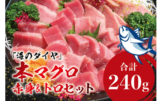 本マグロ（養殖）トロ＆赤身セット 240g 【配達日指定不可】高級