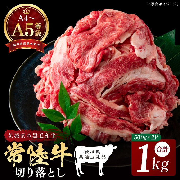 b9ac4d6b-4941-4bc6-9280-