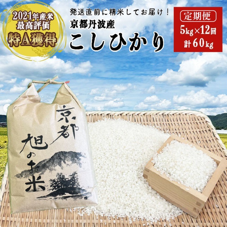 令和7年産 コシヒカリ 先行予約 米 定期便 5kg 12回 計60kg 丹波