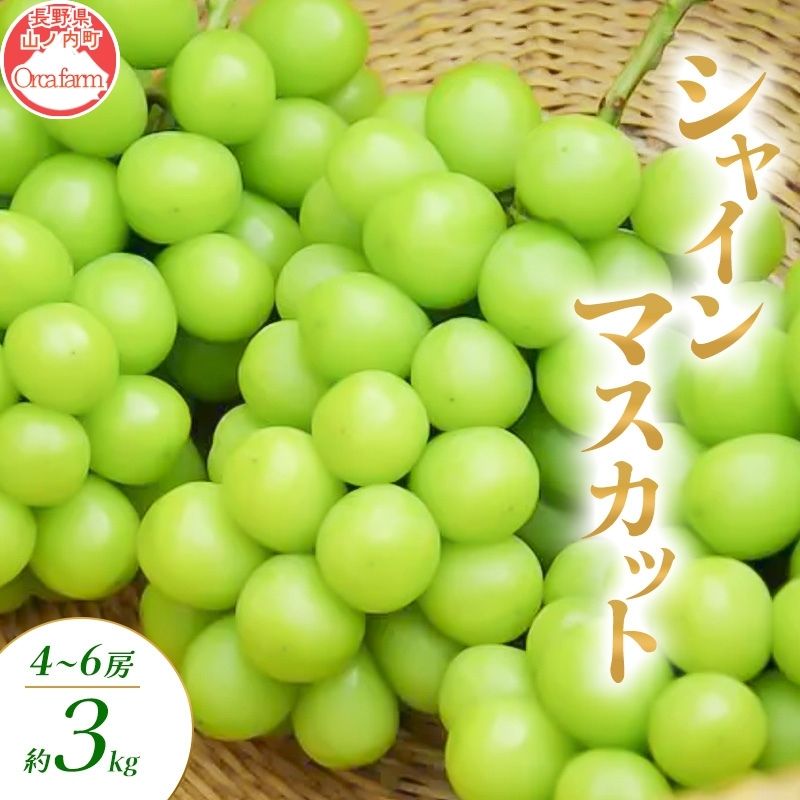 2026年10月～発送】シャインマスカット 3～6房 約3kg ぶどう ブドウ