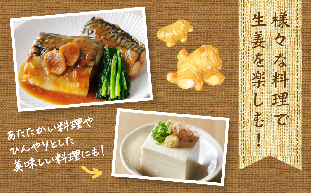 熊本県八代市産 新生姜2kg 季節限定 しょうが ショウガ ガリ